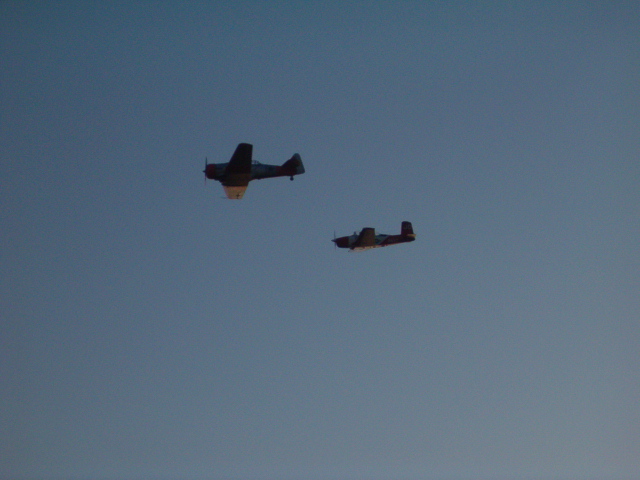 618x457 pixels (146K)