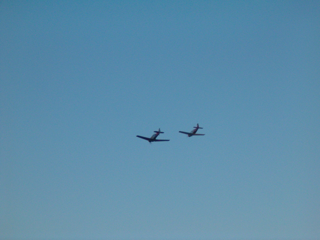 618x457 pixels (144K)