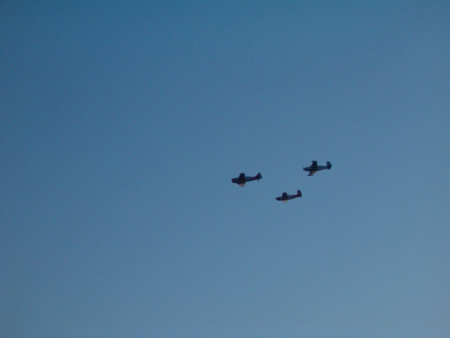 618x457 pixels (152K)