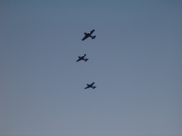 618x457 pixels (141K)