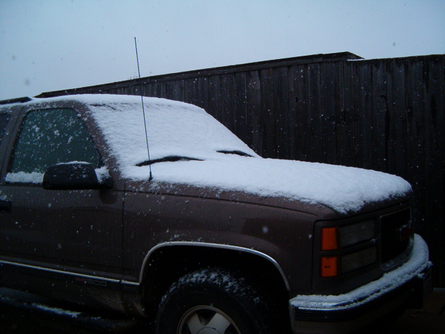 618x457 pixels (125K)