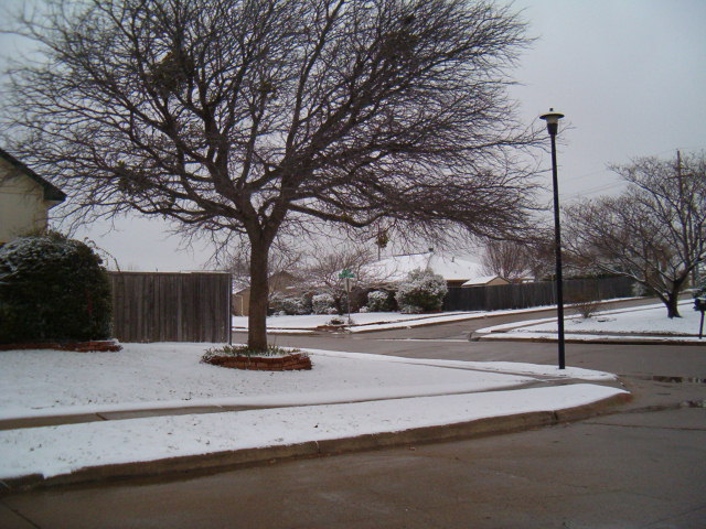 618x457 pixels (118K)