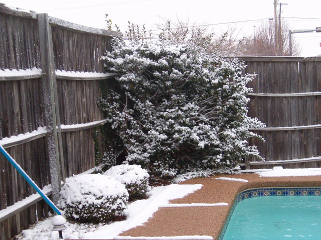 618x457 pixels (119K)