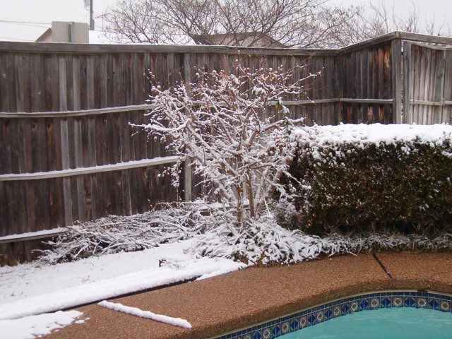 618x457 pixels (120K)