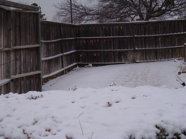 618x457 pixels (109K)