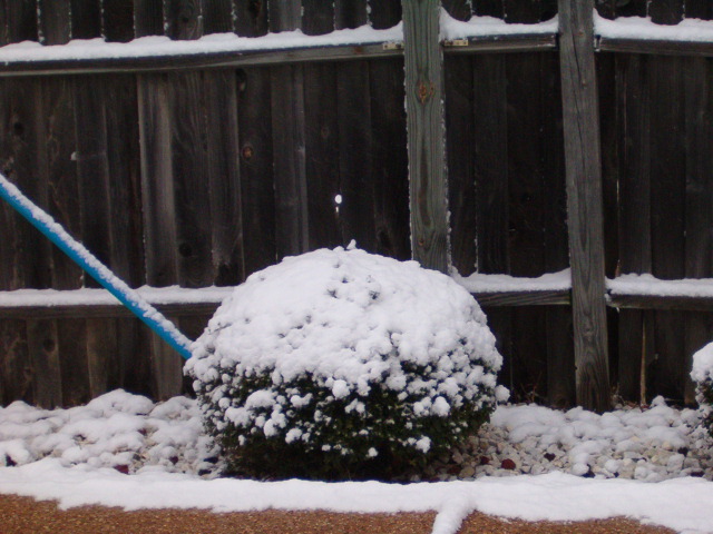 618x457 pixels (118K)