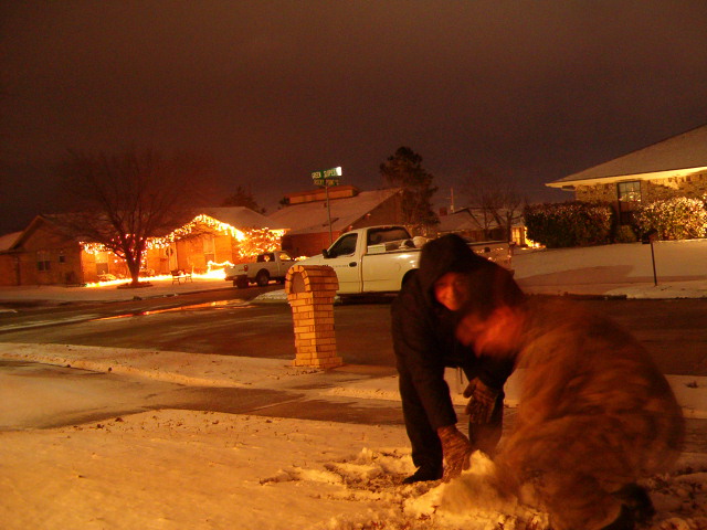 618x457 pixels (104K)