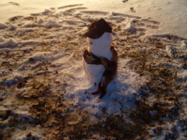 618x457 pixels (130K)