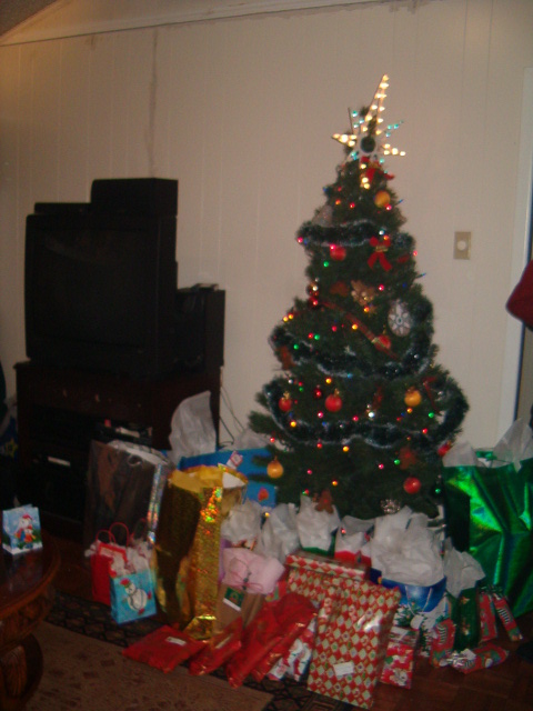 458x617 pixels (114K)