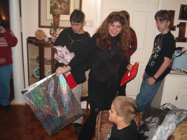 618x457 pixels (141K)