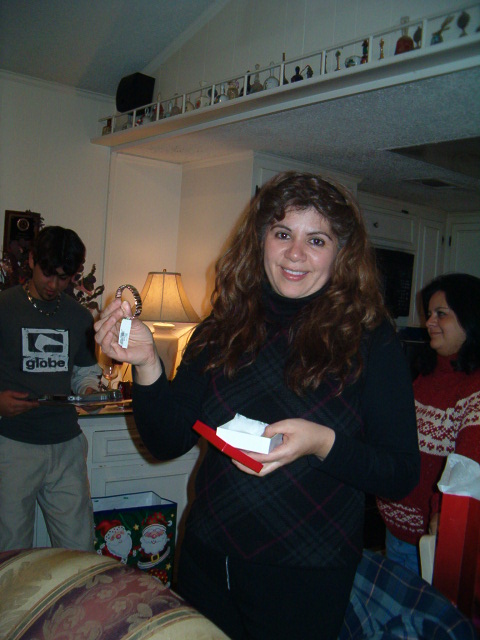 458x617 pixels (107K)