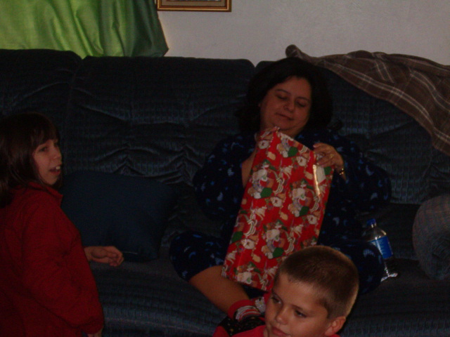 618x457 pixels (107K)