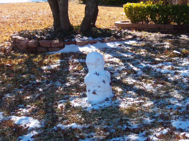 618x457 pixels (141K)