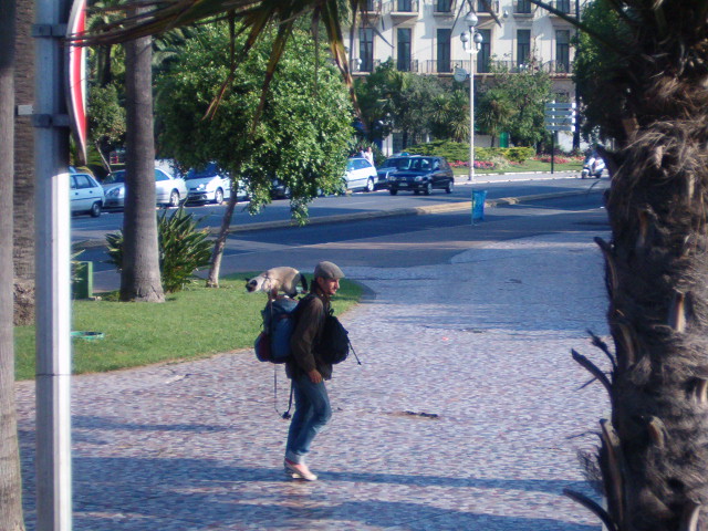 618x457 pixels (140K)