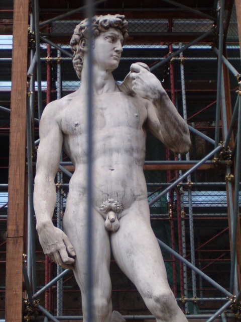 458x617 pixels (118K)