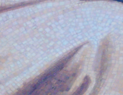 394x297 pixels (115K)