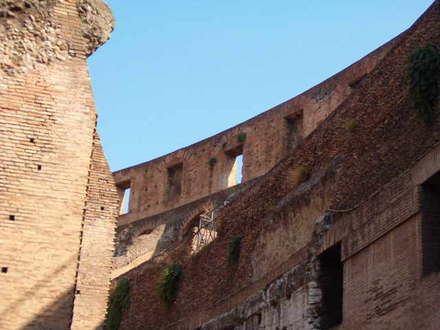 618x457 pixels (129K)