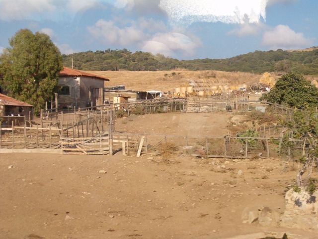 618x457 pixels (132K)