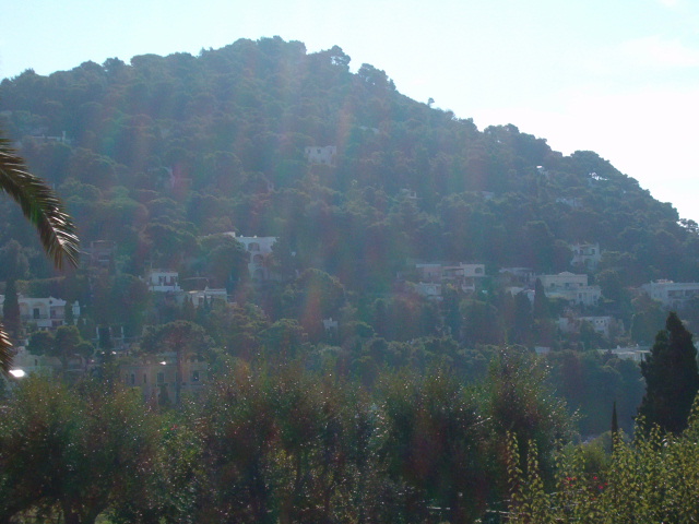 618x457 pixels (126K)