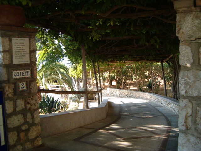 618x457 pixels (118K)