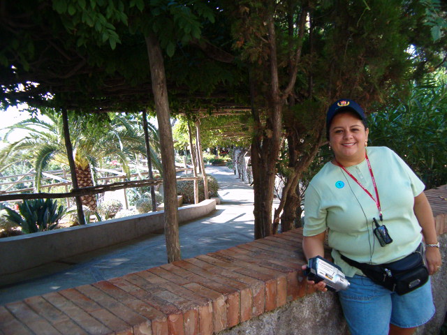 618x457 pixels (123K)