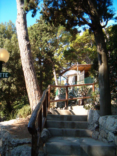 458x617 pixels (128K)