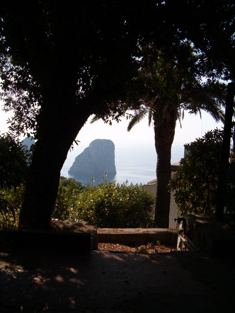 458x617 pixels (98K)