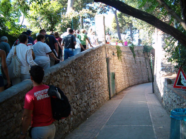 618x457 pixels (124K)