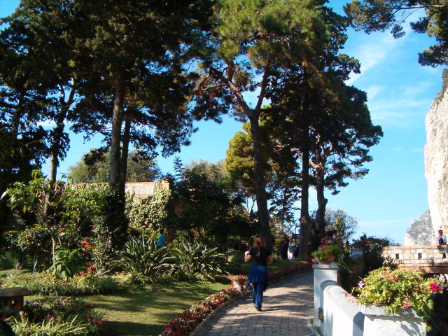 618x457 pixels (132K)