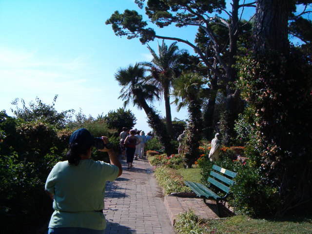 618x457 pixels (121K)