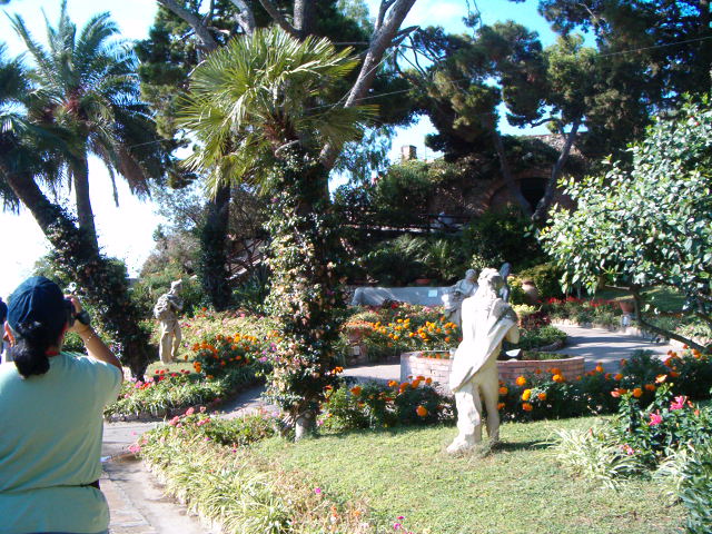 618x457 pixels (135K)