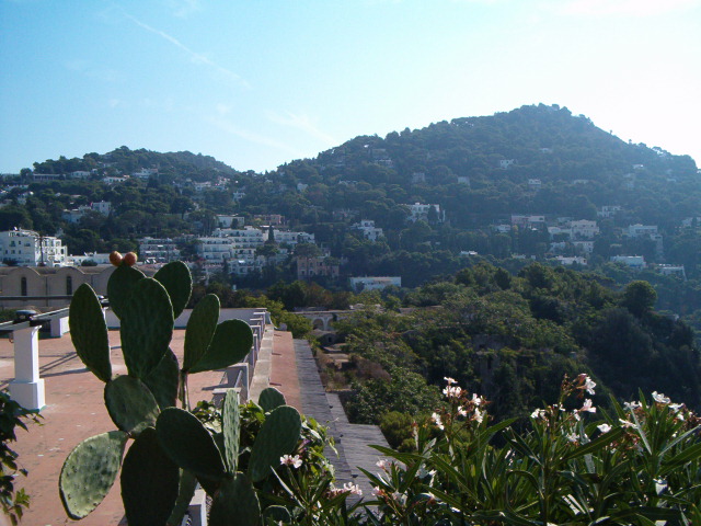 618x457 pixels (126K)