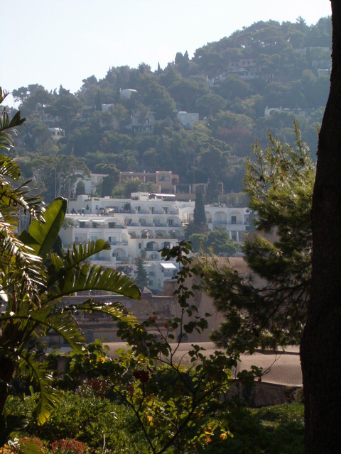 458x617 pixels (118K)