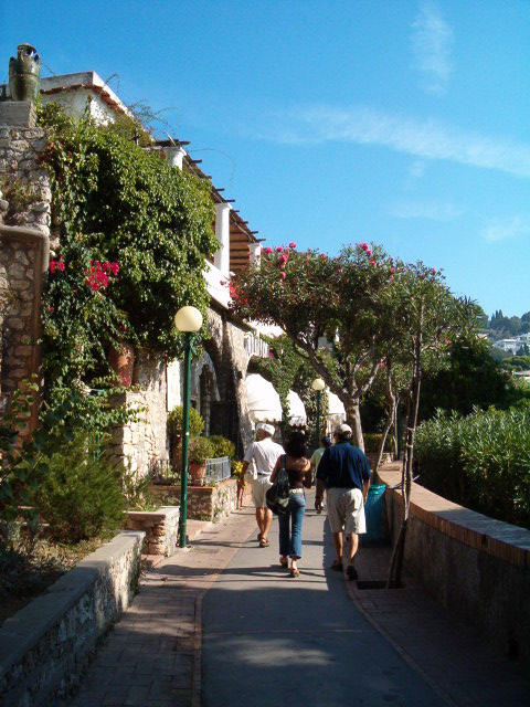 458x617 pixels (111K)