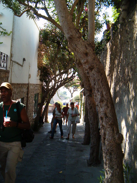 458x617 pixels (124K)