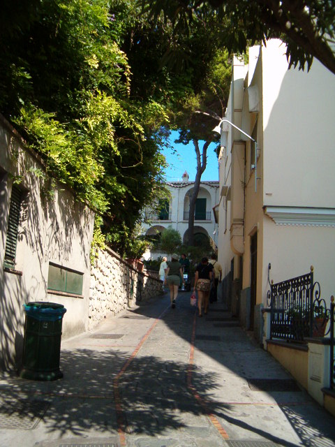 458x617 pixels (118K)