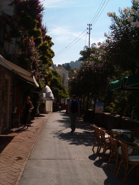 458x617 pixels (109K)