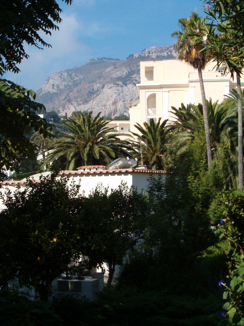 458x617 pixels (117K)