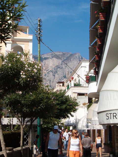 458x617 pixels (122K)