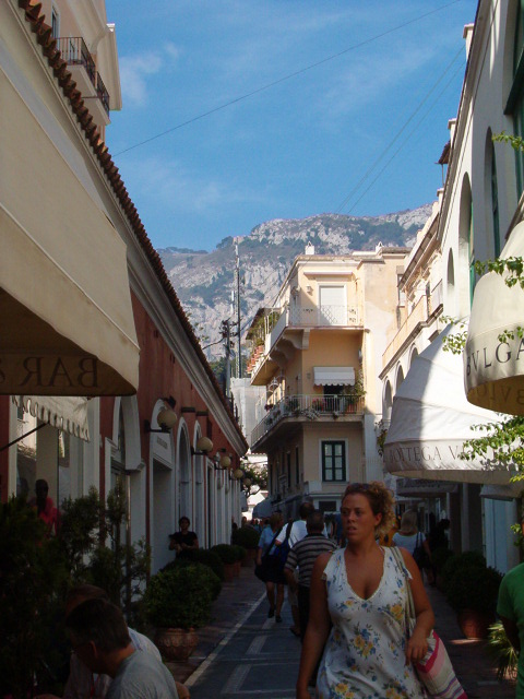 458x617 pixels (116K)