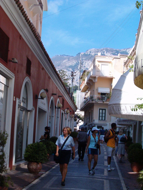 458x617 pixels (122K)