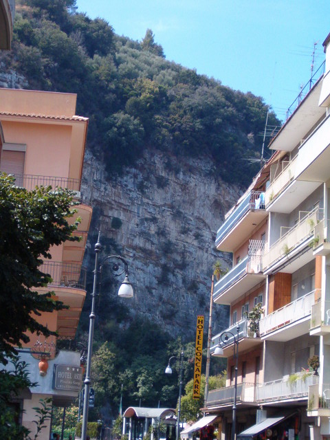 458x617 pixels (123K)