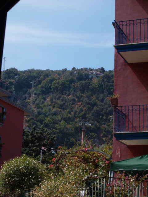 458x617 pixels (110K)