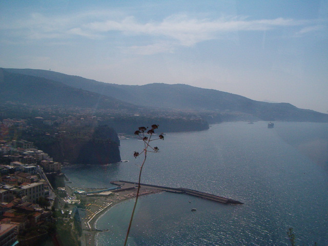 618x457 pixels (121K)