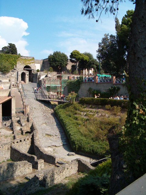 458x617 pixels (114K)