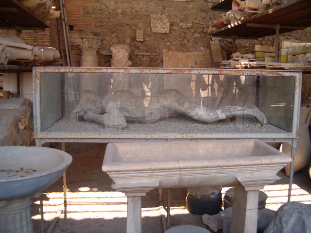 618x457 pixels (129K)