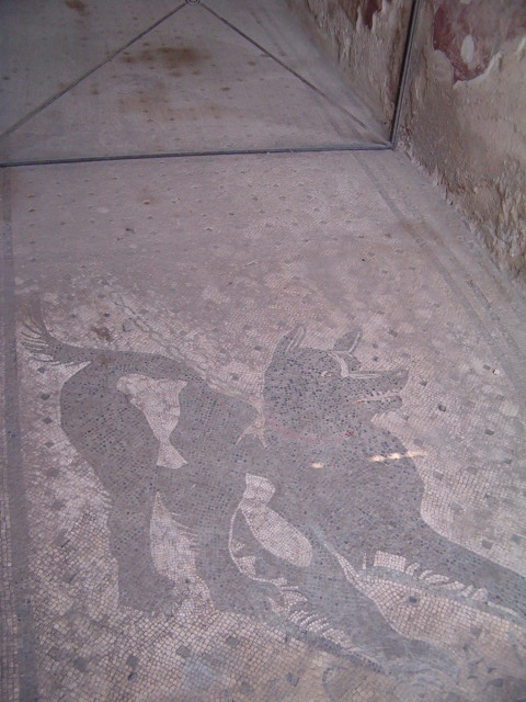 458x617 pixels (107K)