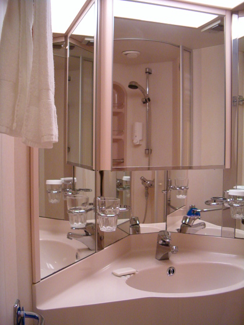 458x617 pixels (102K)