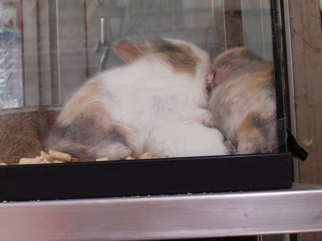 618x457 pixels (120K)