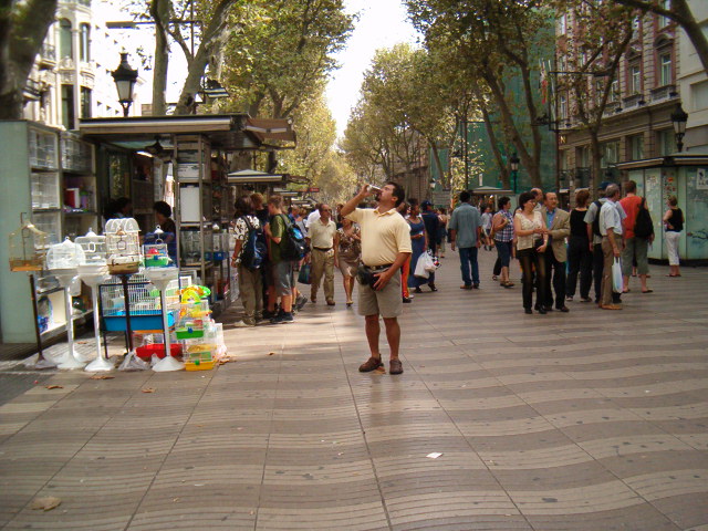 618x457 pixels (129K)